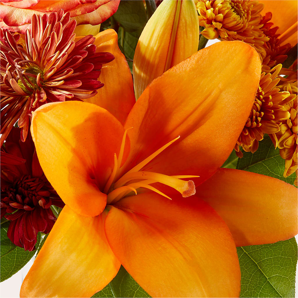 Autumnal Aroma Bouquet –  Park Avenue Florist, Orange Park FL