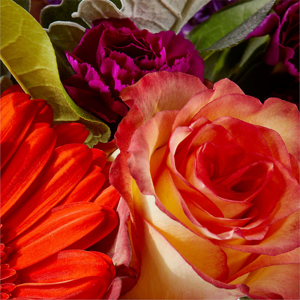 Sangria Bouquet –  Park Avenue Florist, Orange Park FL