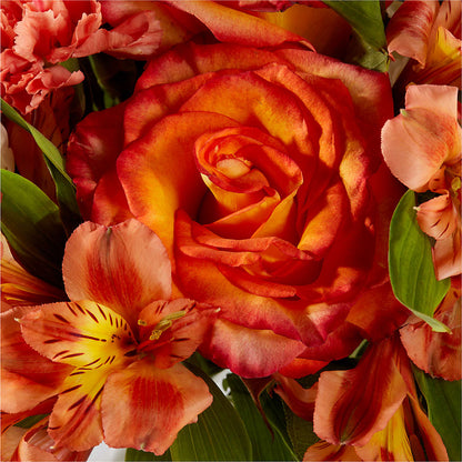 Apricot Glow Bouquet –  Park Avenue Florist, Orange Park FL