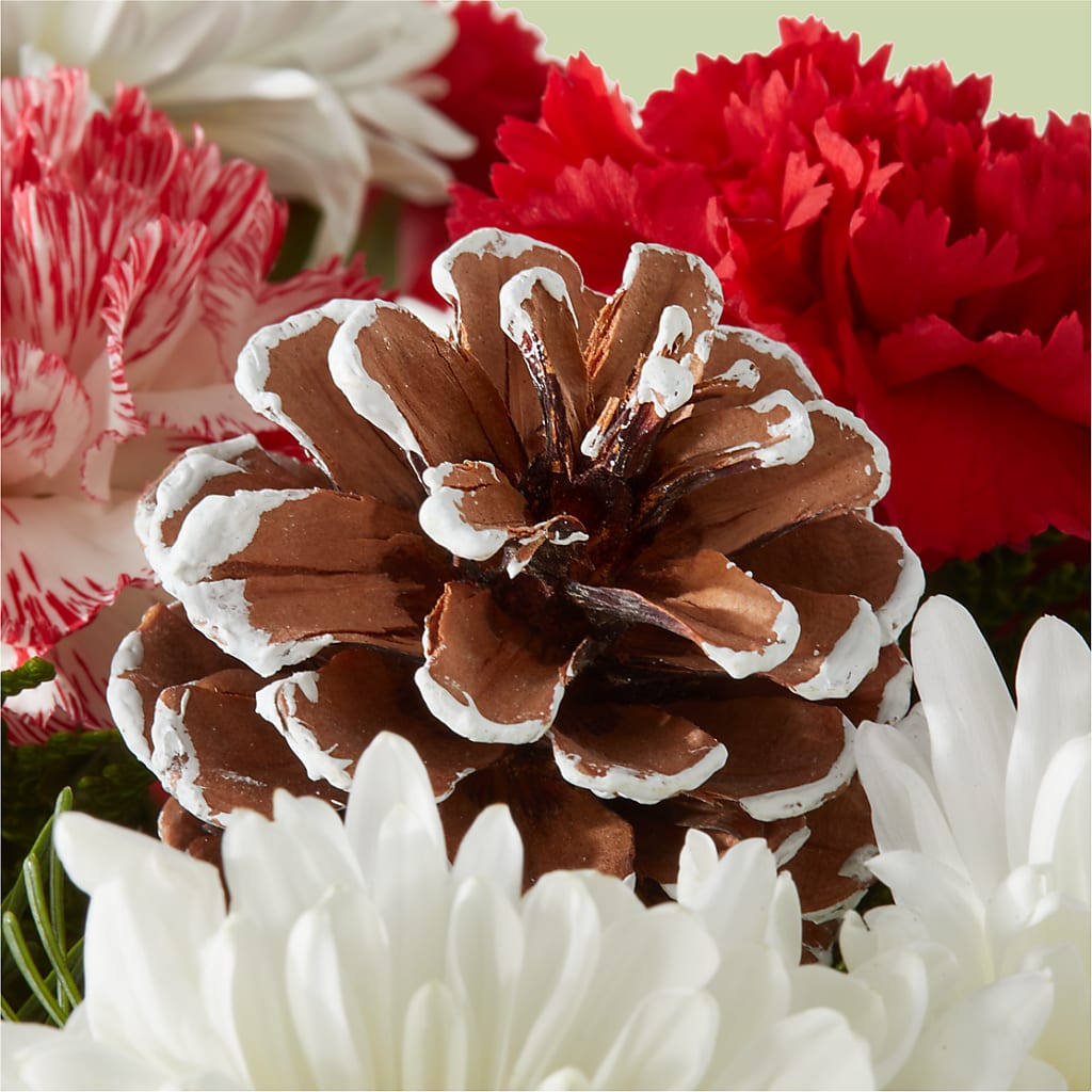 Candy Cane Lane Bouquet –  Park Avenue Florist, Orange Park FL