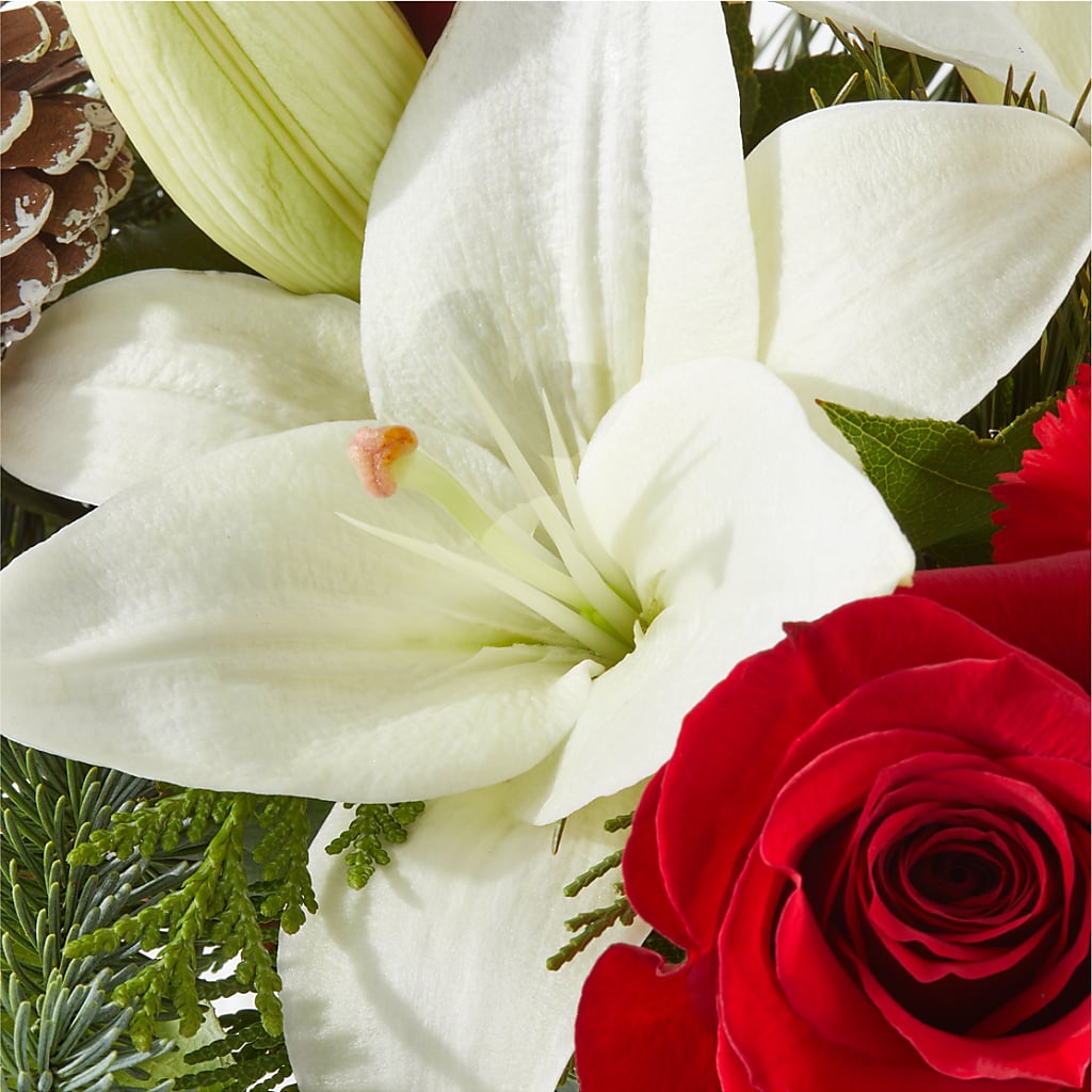 Oh So Jolly Bouquet –  Park Avenue Florist, Orange Park FL