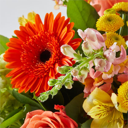 Autumn Sunshine Bouquet –  Park Avenue Florist, Orange Park FL