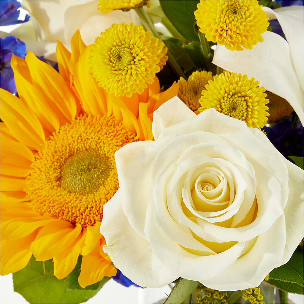 Stargazing Bouquet –  Park Avenue Florist, Orange Park FL