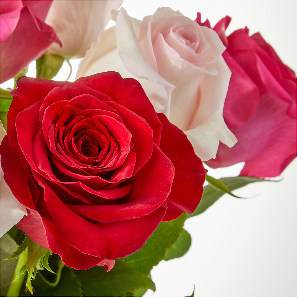Charming Rose Bouquet –  Park Avenue Florist, Orange Park FL