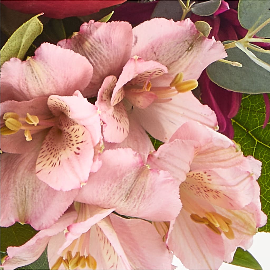 Berry Cobbler Bouquet –  Park Avenue Florist, Orange Park FL