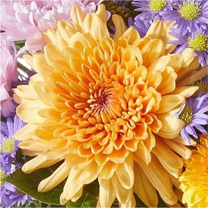 Countryside Bouquet –  Park Avenue Florist, Orange Park FL
