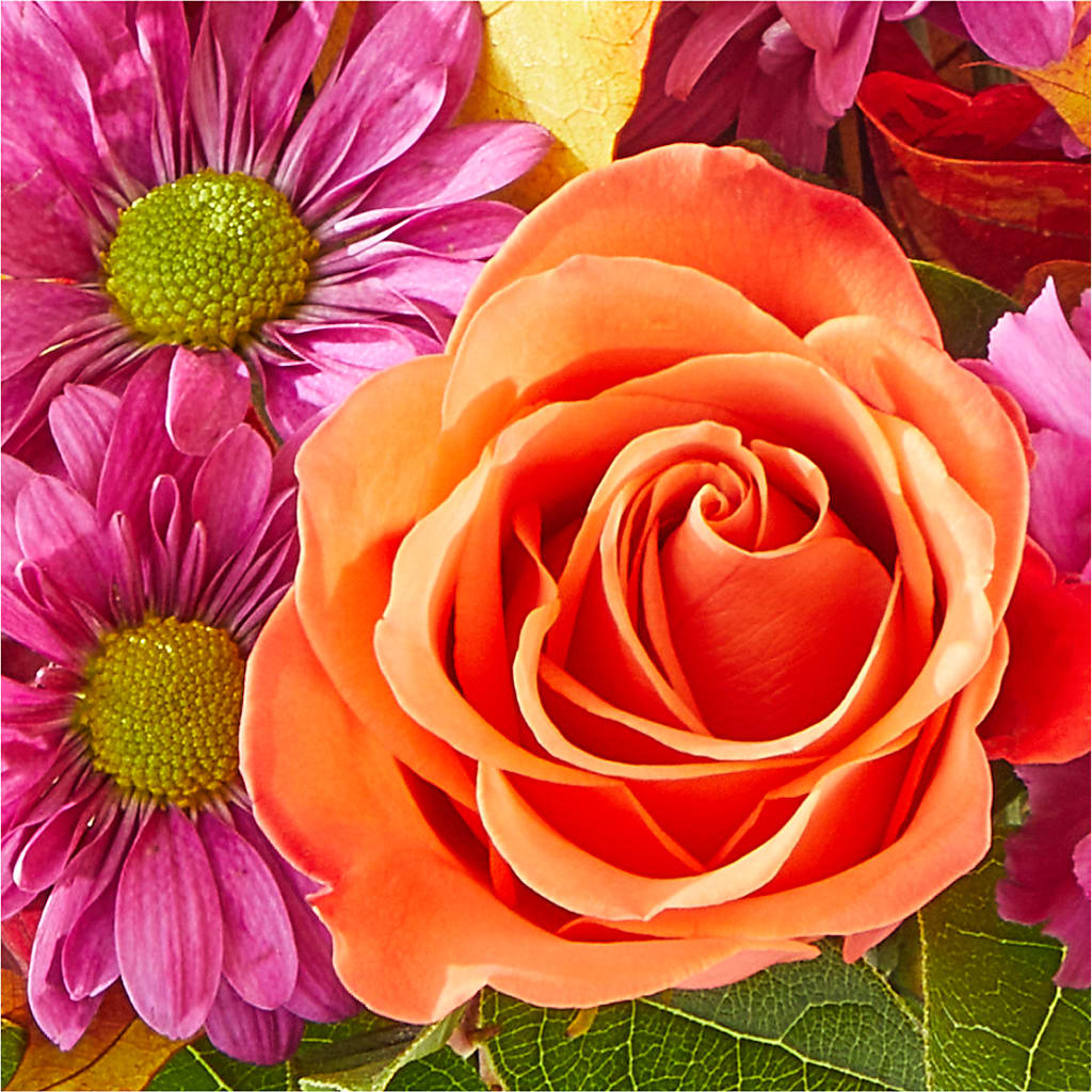 Mum's the Word Bouquet –  Park Avenue Florist, Orange Park FL