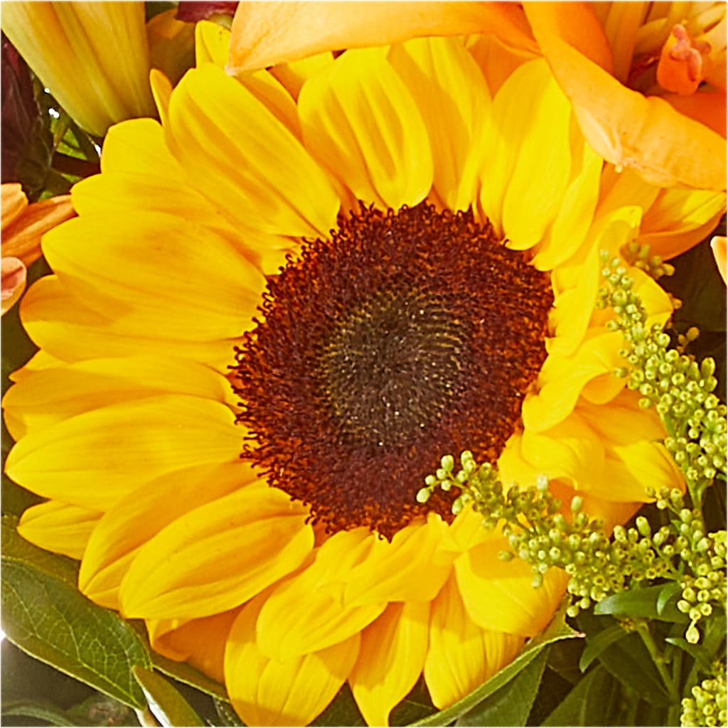 Seasons Change Bouquet –  Park Avenue Florist, Orange Park FL