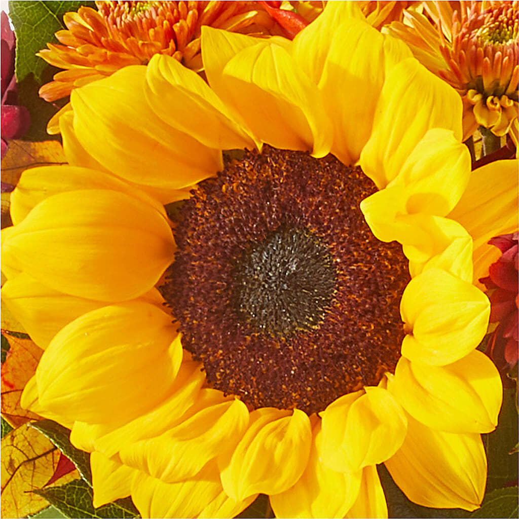 Sunny Side Bouquet –  Park Avenue Florist, Orange Park FL