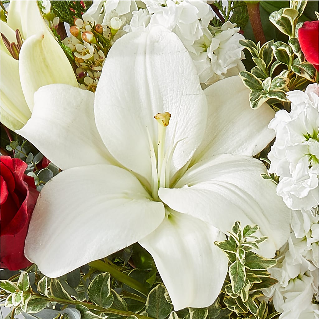 Twinkle Lights Bouquet –  Park Avenue Florist, Orange Park FL