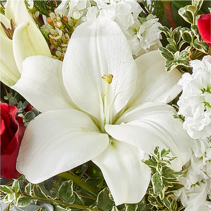 Twinkle Lights Bouquet –  Park Avenue Florist, Orange Park FL