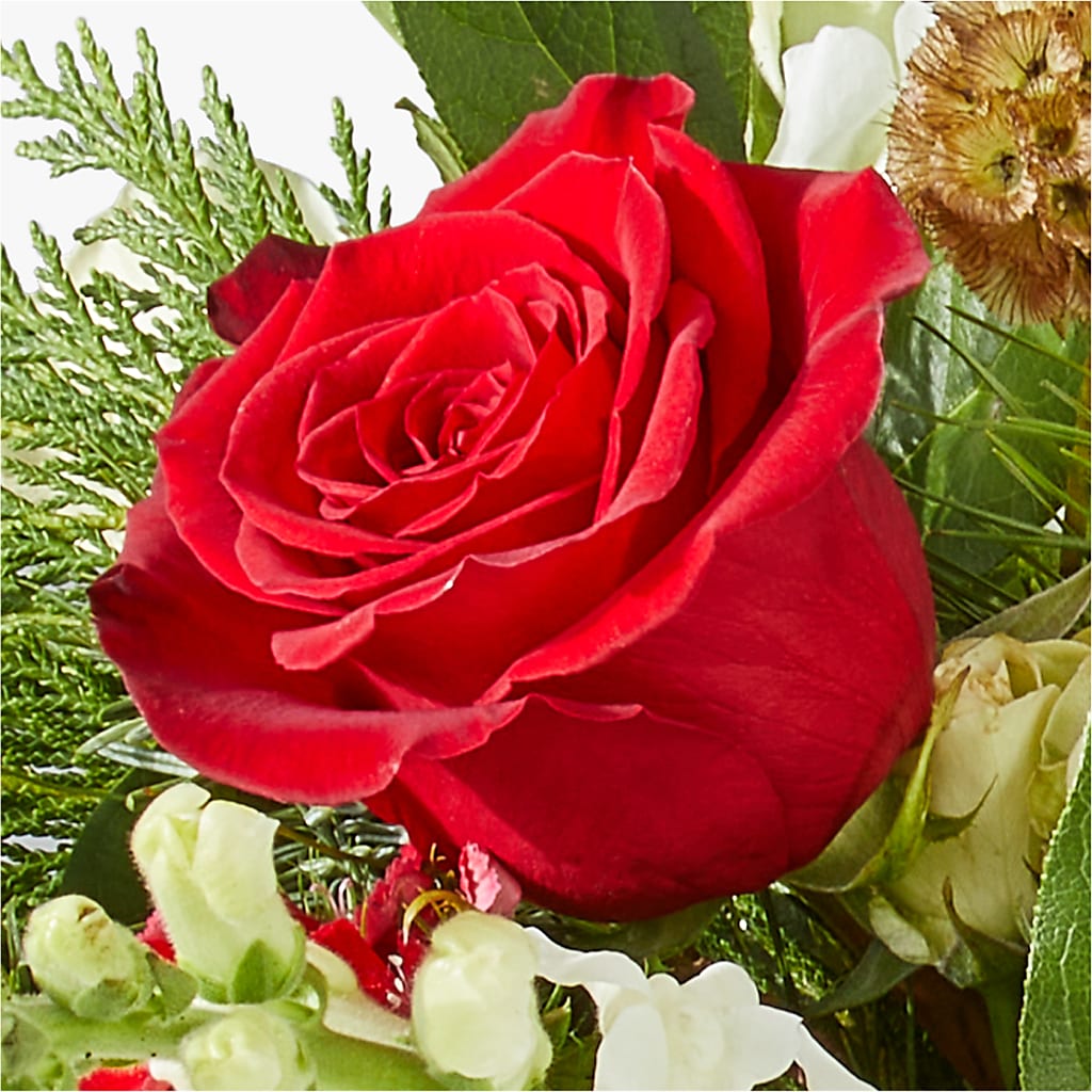 Deck the Halls Bouquet –  Park Avenue Florist, Orange Park FL