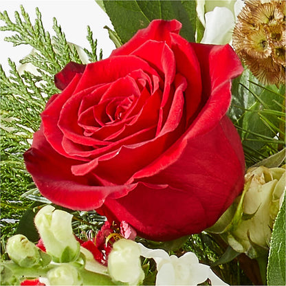 Deck the Halls Bouquet –  Park Avenue Florist, Orange Park FL