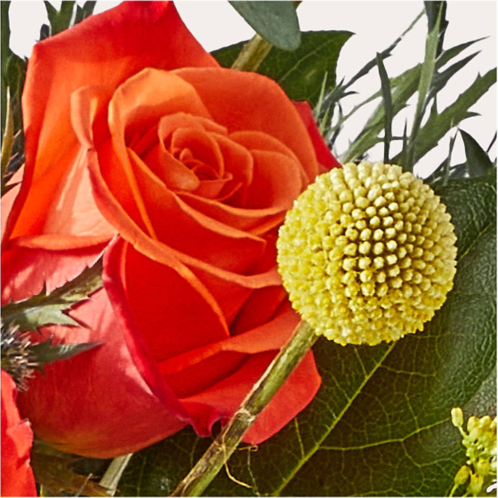 Disco Bouquet –  Park Avenue Florist, Orange Park FL