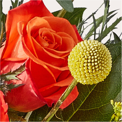 Disco Bouquet –  Park Avenue Florist, Orange Park FL