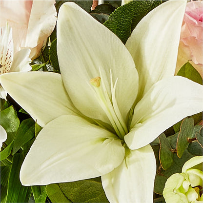 Ballet Slippers Bouquet –  Park Avenue Florist, Orange Park FL