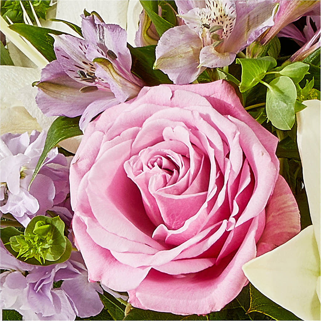 Daydreamer Bouquet –  Park Avenue Florist, Orange Park FL