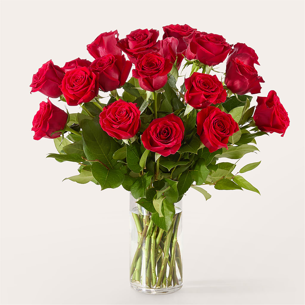 The One Red Rose Bouquet –  Park Avenue Florist, Orange Park FL