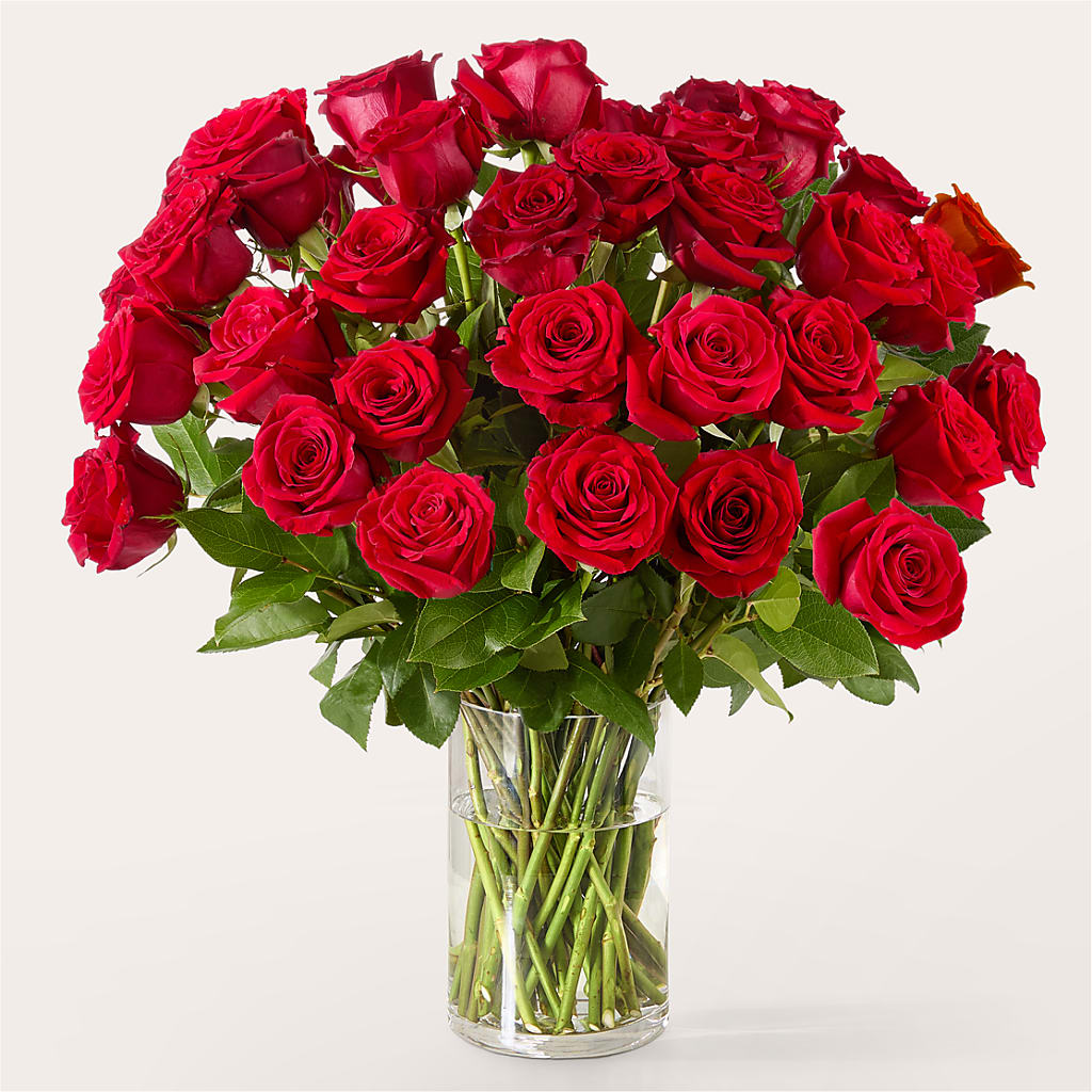The One Red Rose Bouquet –  Park Avenue Florist, Orange Park FL