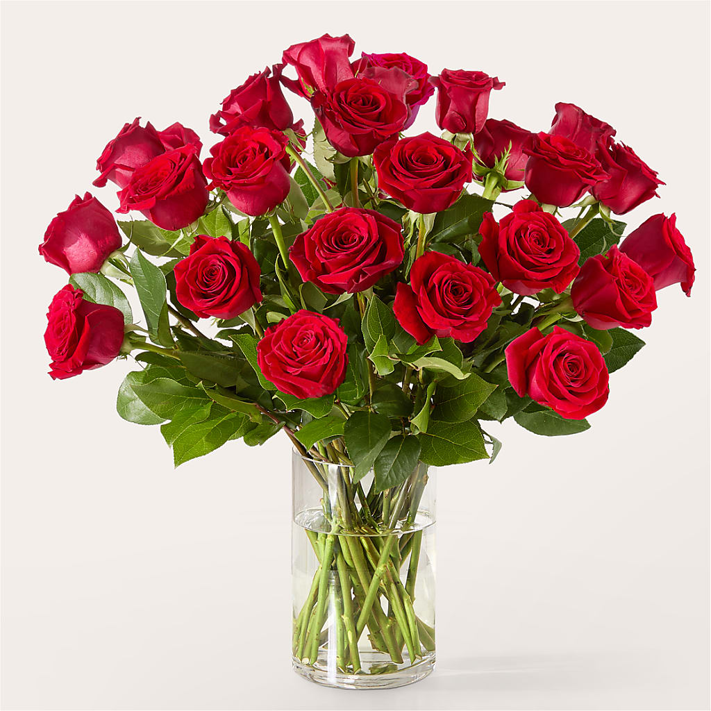 The One Red Rose Bouquet –  Park Avenue Florist, Orange Park FL