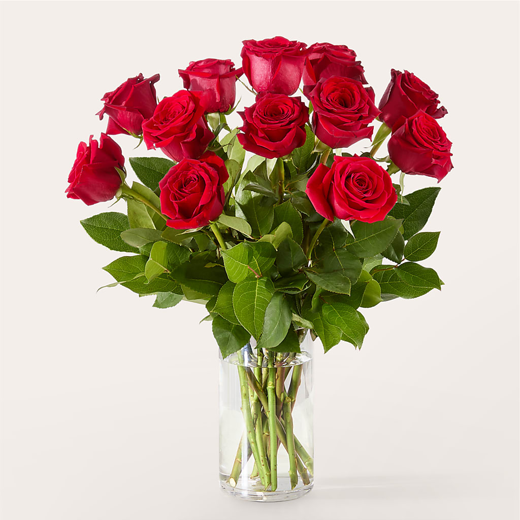 The One Red Rose Bouquet –  Park Avenue Florist, Orange Park FL