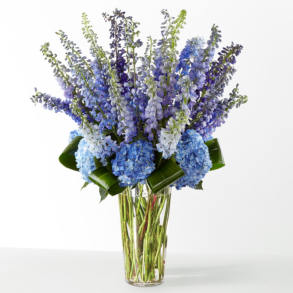 The Editorial –  Park Avenue Florist, Orange Park FL