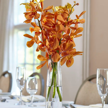 Orange Mokara Bud Vase –  Park Avenue Florist, Orange Park FL