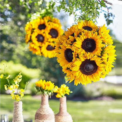Sublime Garden Hanging Arrangement –  Park Avenue Florist, Orange Park FL