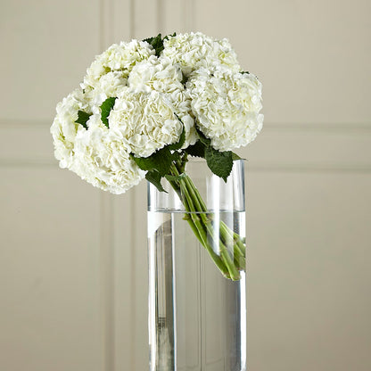 White Hydrangea Hand-Tied Bouquet –  Park Avenue Florist, Orange Park FL