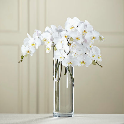 White Phalaenopsis Bouquet –  Park Avenue Florist, Orange Park FL