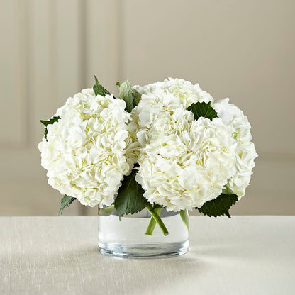White Hydrangea Bouquet –  Park Avenue Florist, Orange Park FL