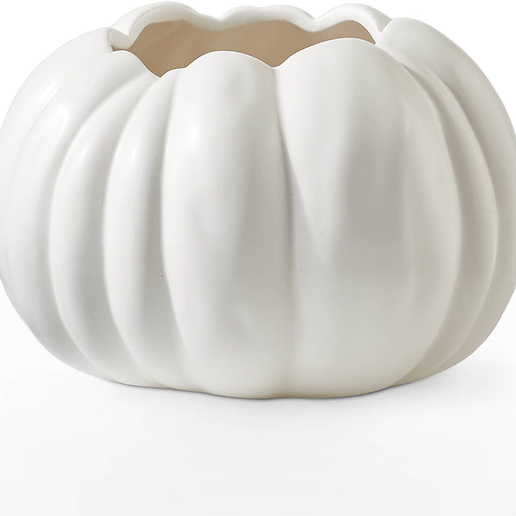 Autumn Air Pumpkin Bouquet –  Park Avenue Florist, Orange Park FL